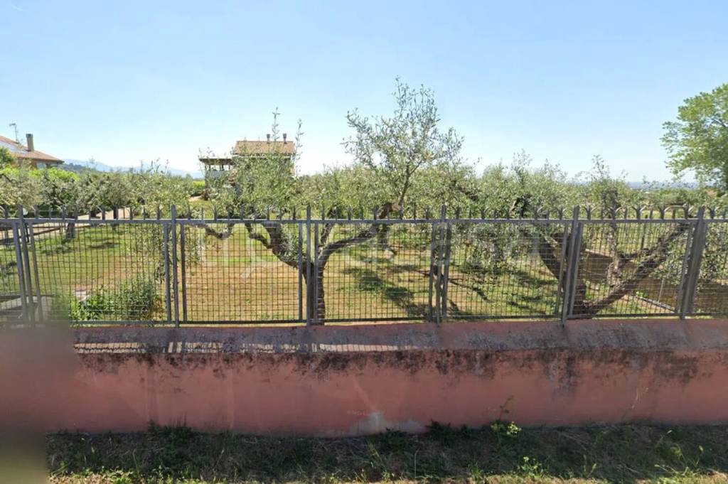 immagine annuncio 3 di 4