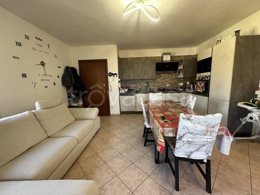 immagine annuncio 1 di 14