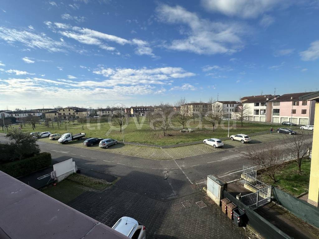 immagine annuncio 10 di 14