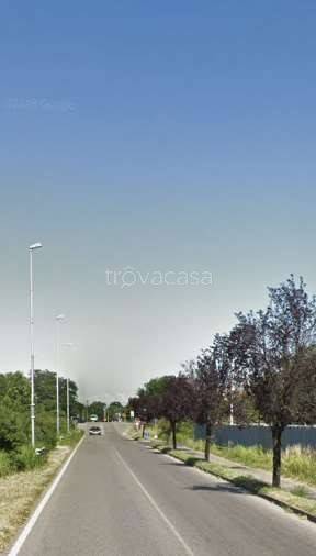 immagine annuncio 6 di 11