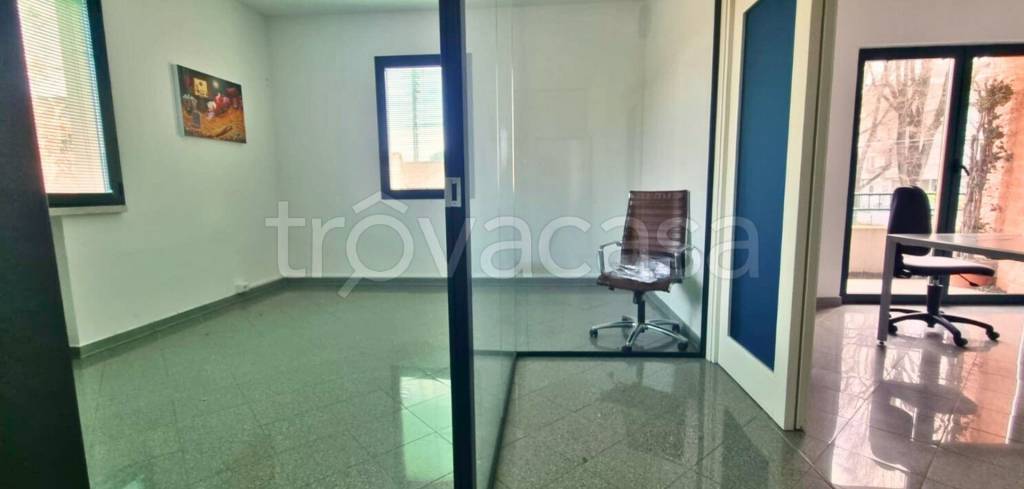 immagine annuncio 7 di 12