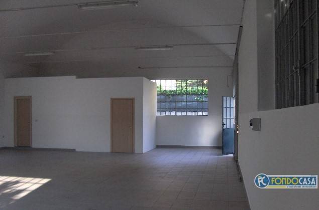 immagine annuncio 4 di 12