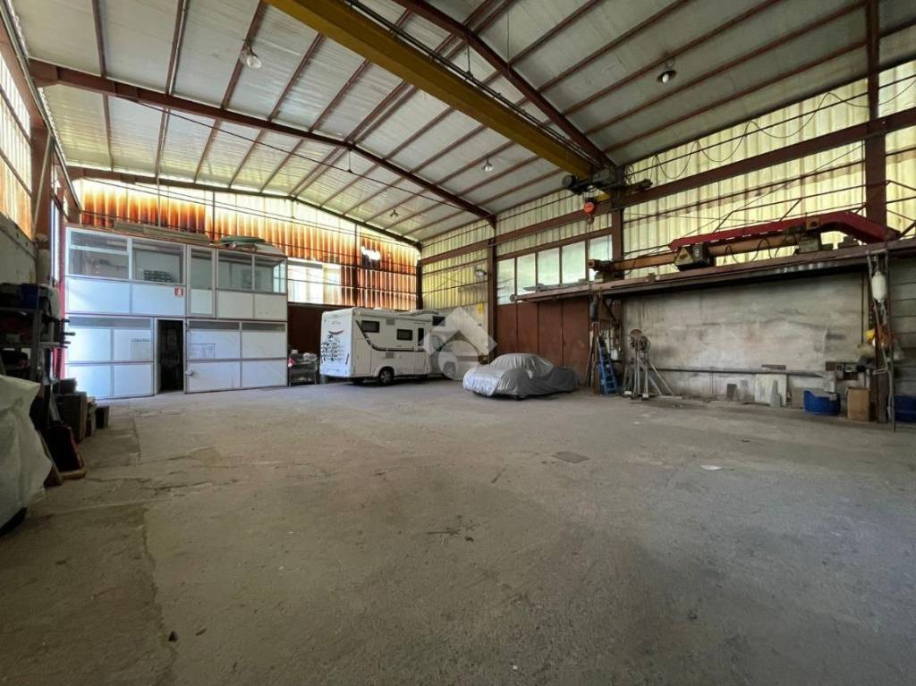 immagine annuncio 7 di 15