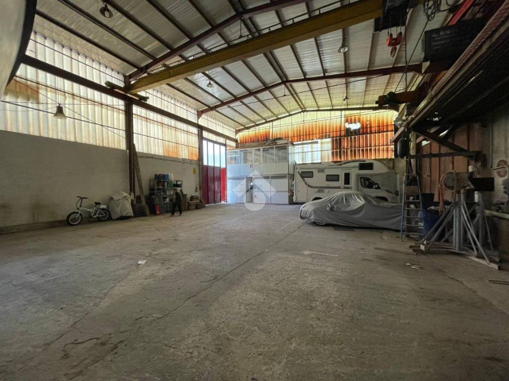 immagine annuncio 9 di 15