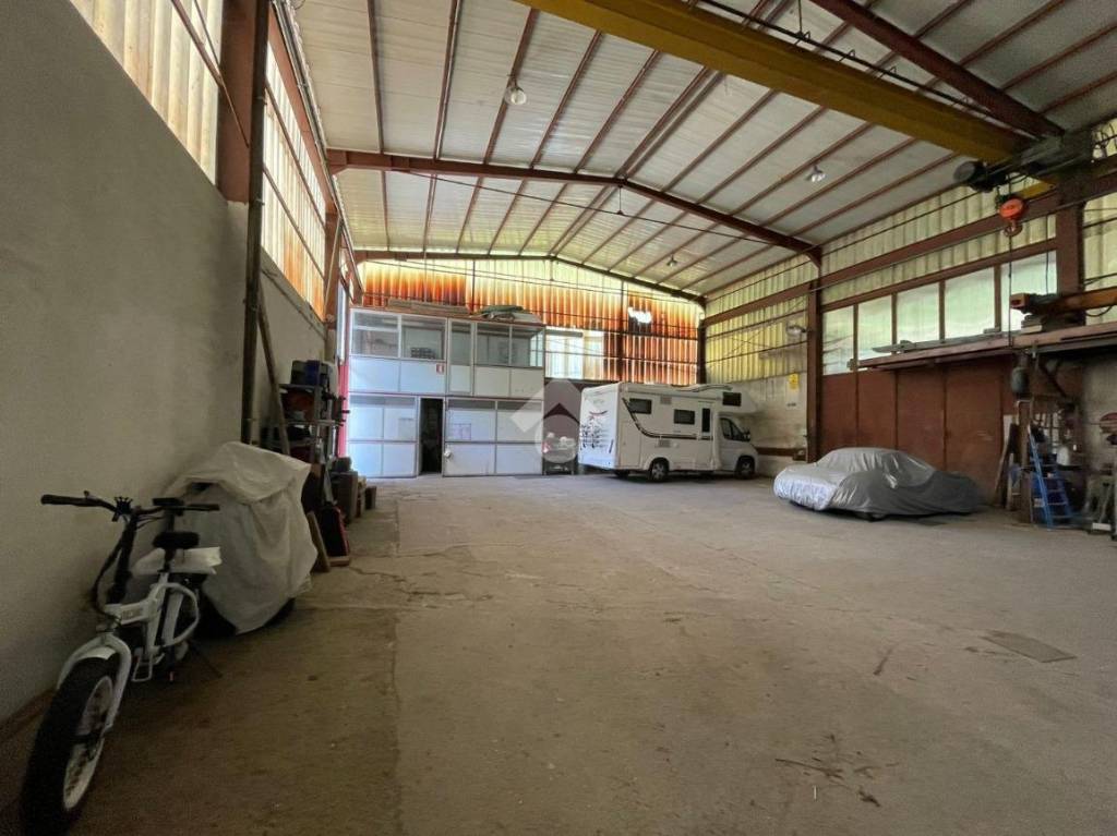 immagine annuncio 11 di 15