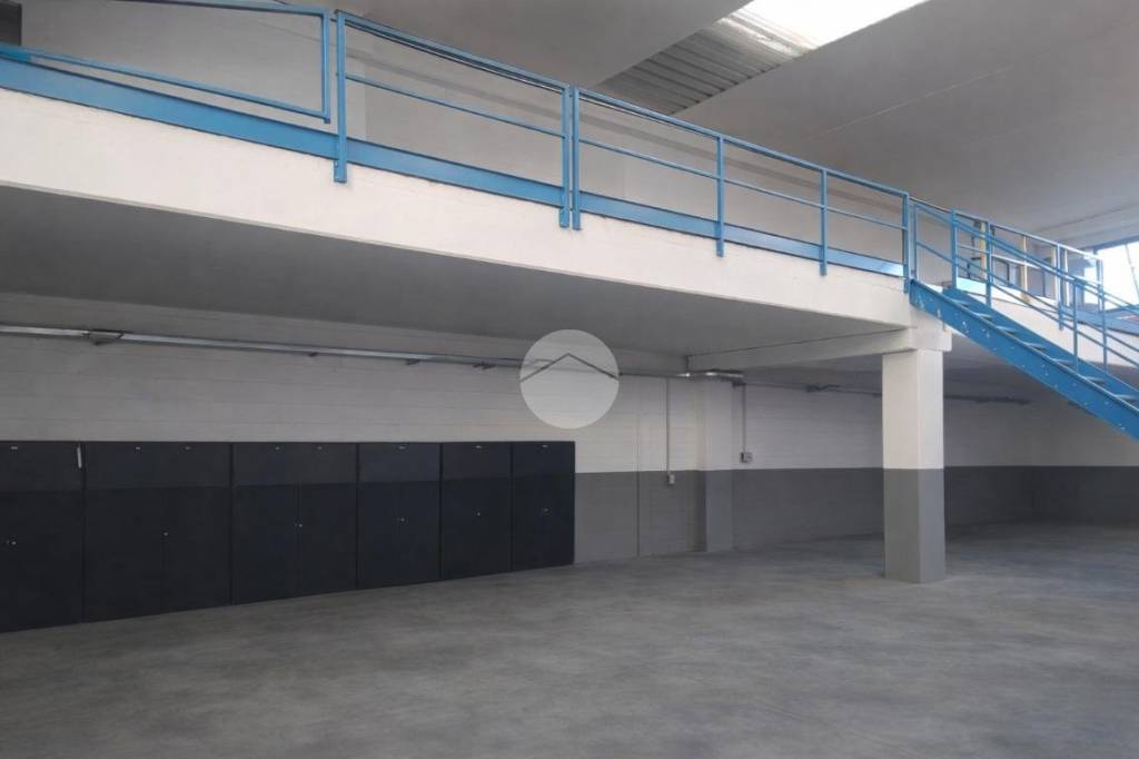 immagine annuncio 5 di 12