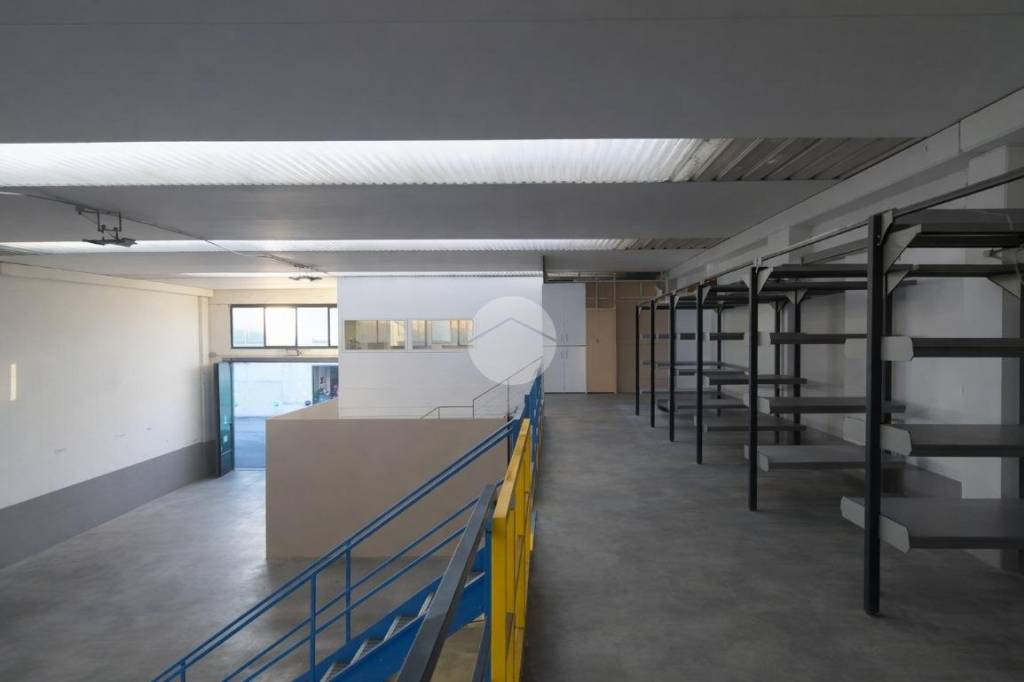 immagine annuncio 9 di 12