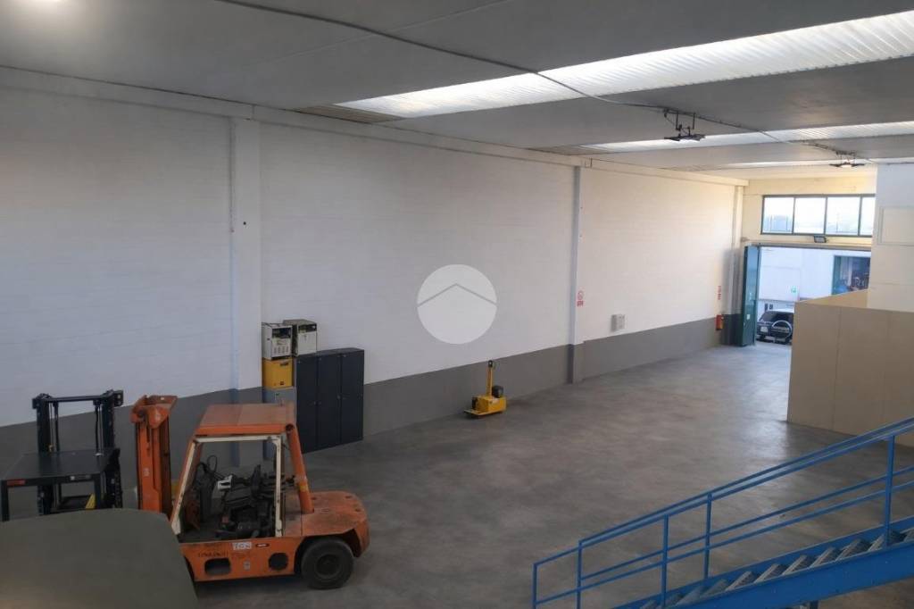 immagine annuncio 10 di 12