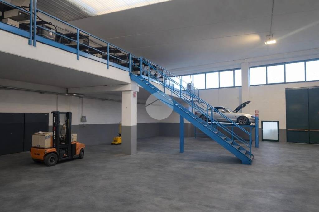 immagine annuncio 11 di 12