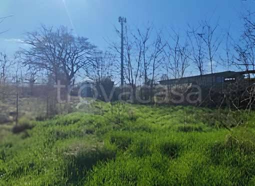 immagine annuncio 7 di 9