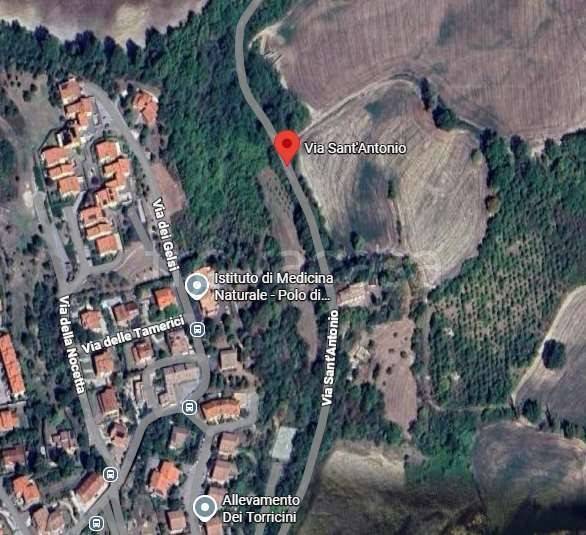 immagine annuncio 1 di 9