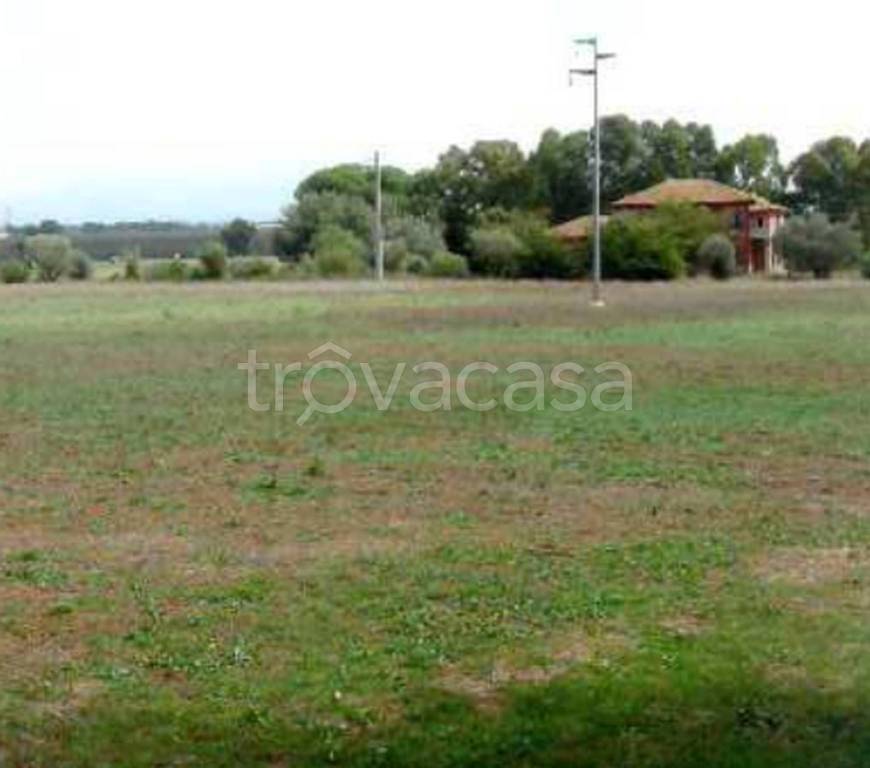 immagine annuncio 5 di 11