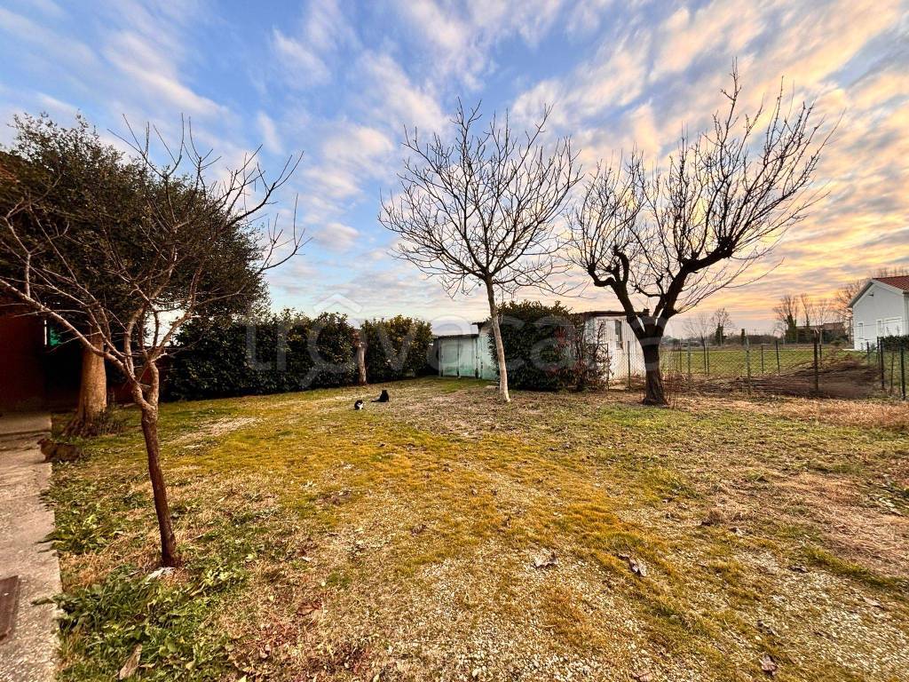 immagine annuncio 13 di 14