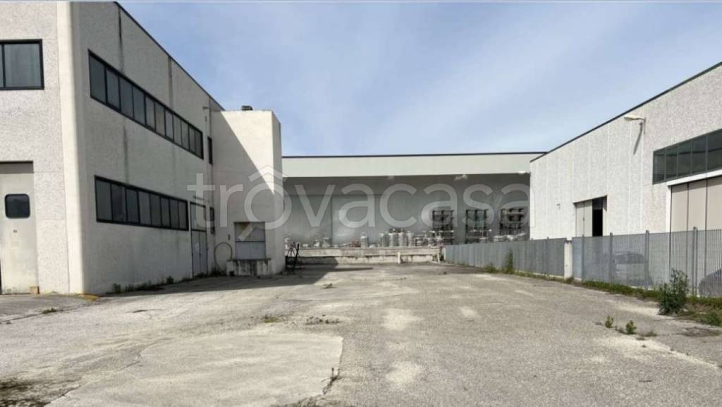 immagine annuncio 4 di 11