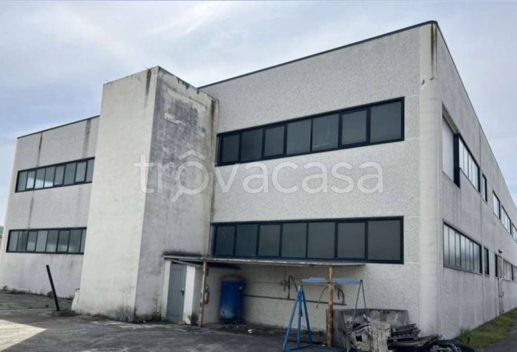 immagine annuncio 6 di 11