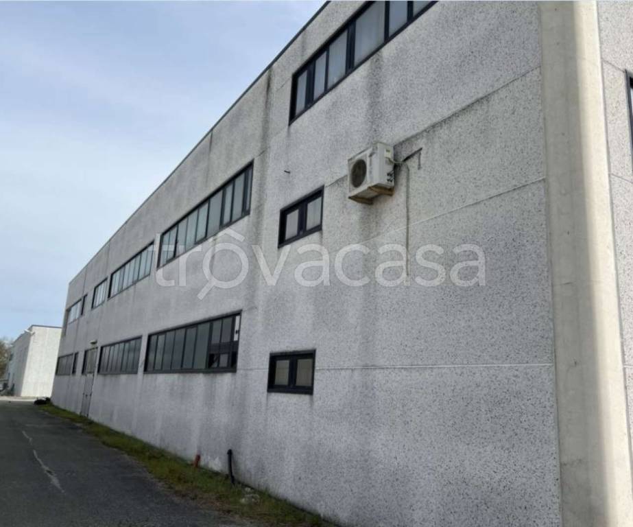 immagine annuncio 8 di 11