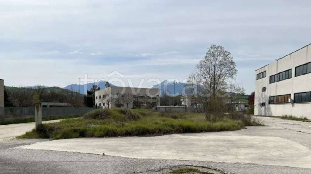 immagine annuncio 10 di 11