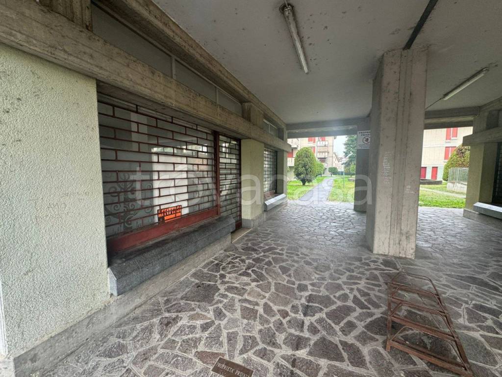 immagine annuncio 11 di 14