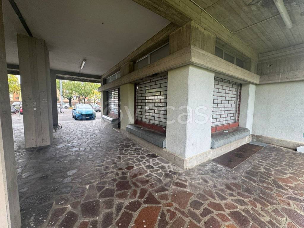 immagine annuncio 12 di 14