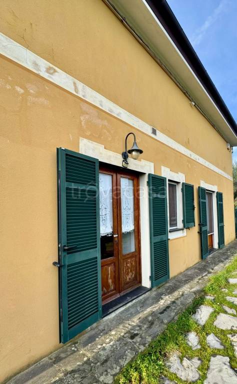 immagine annuncio 2 di 7