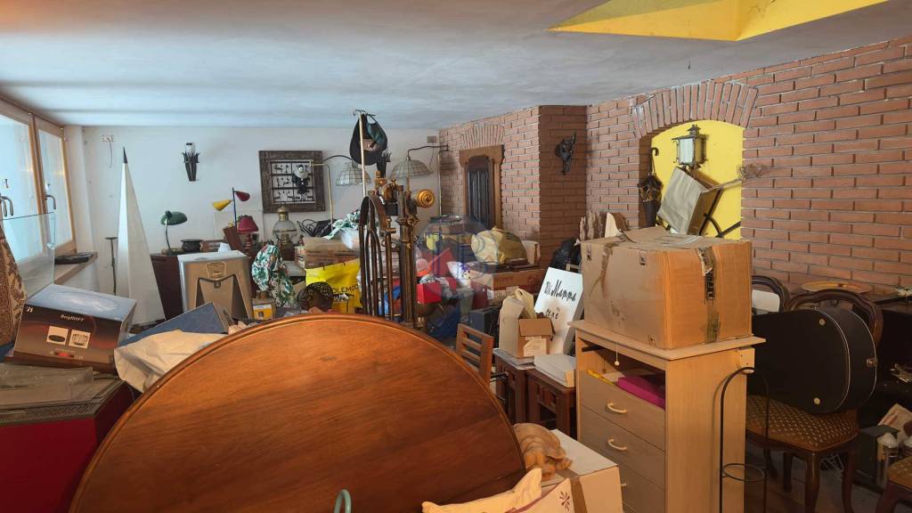 immagine annuncio 6 di 14