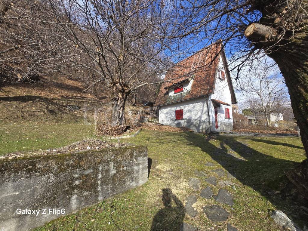 immagine annuncio 12 di 15