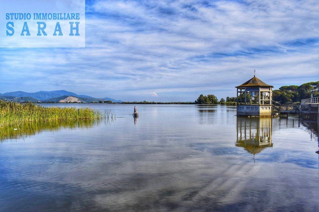 immagine annuncio 9 di 14