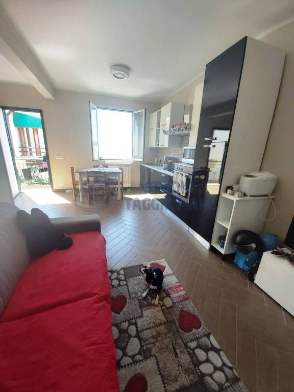 immagine annuncio 9 di 11