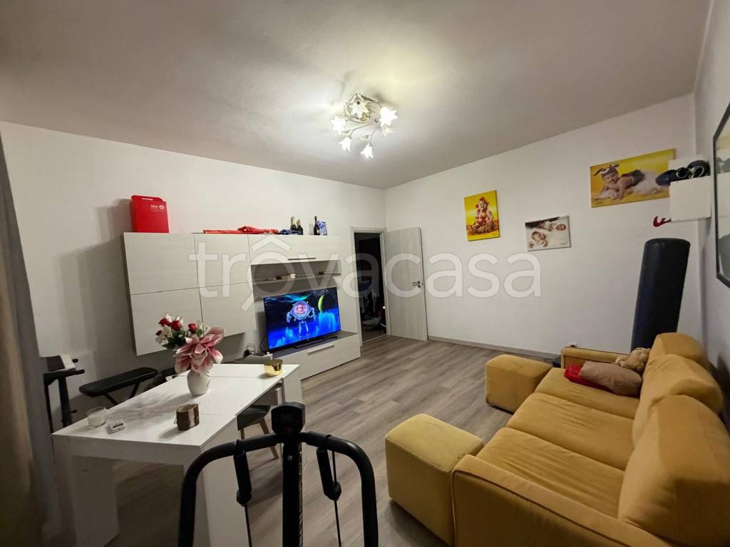 immagine annuncio 7 di 15