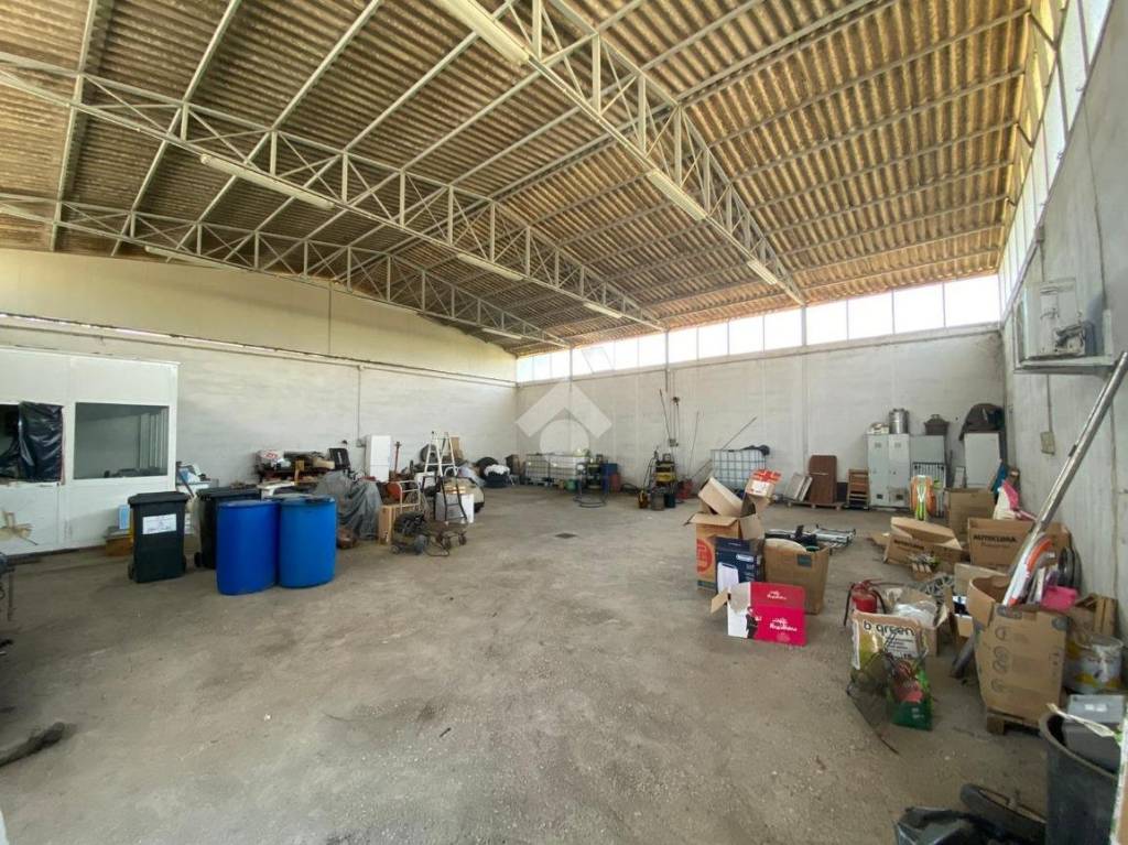 immagine annuncio 9 di 15