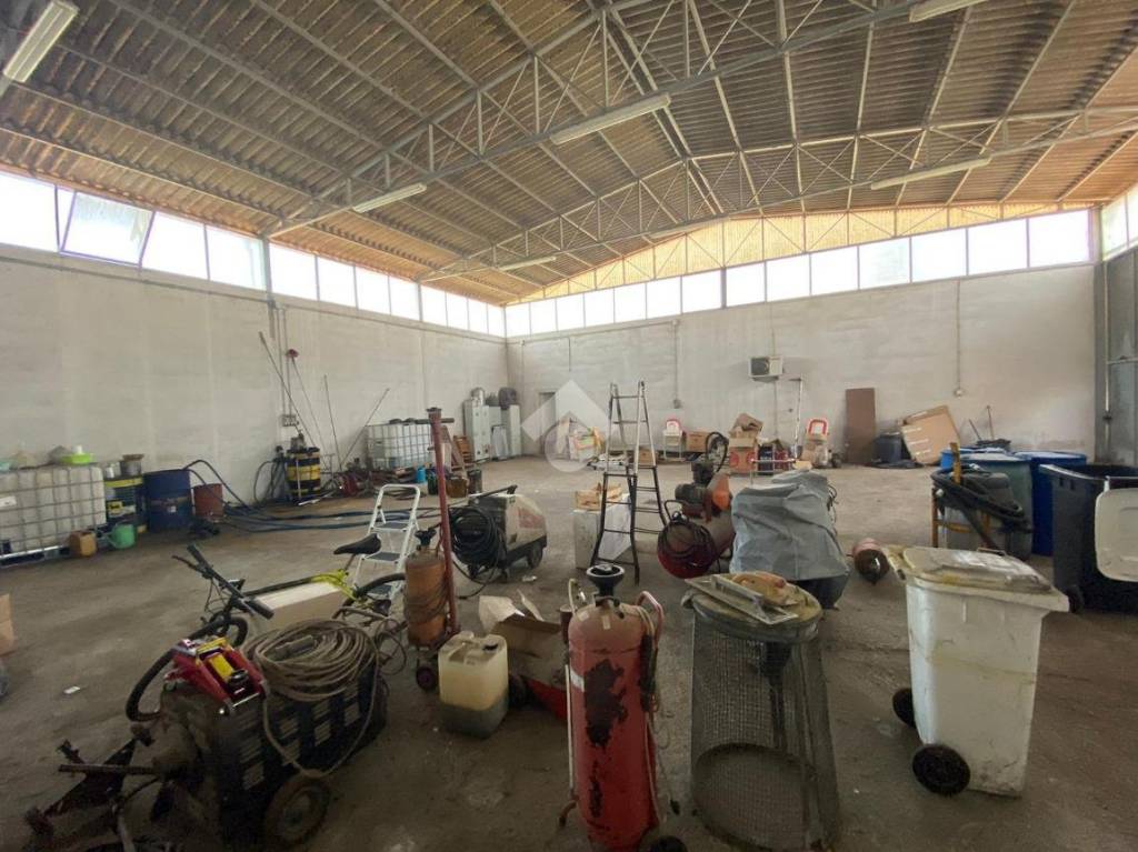 immagine annuncio 10 di 15