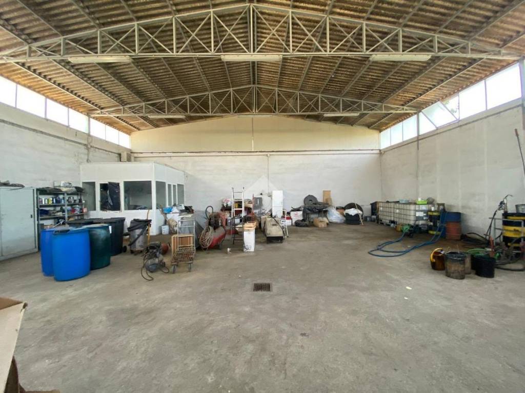 immagine annuncio 11 di 15