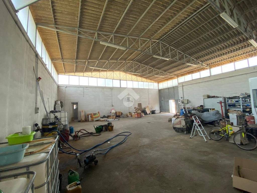 immagine annuncio 12 di 15