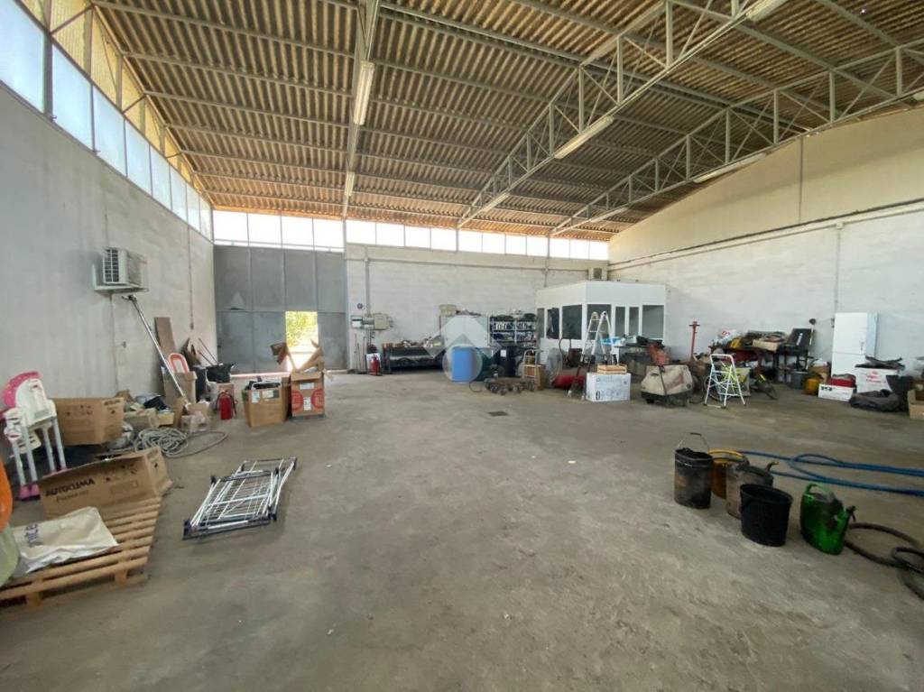 immagine annuncio 13 di 15