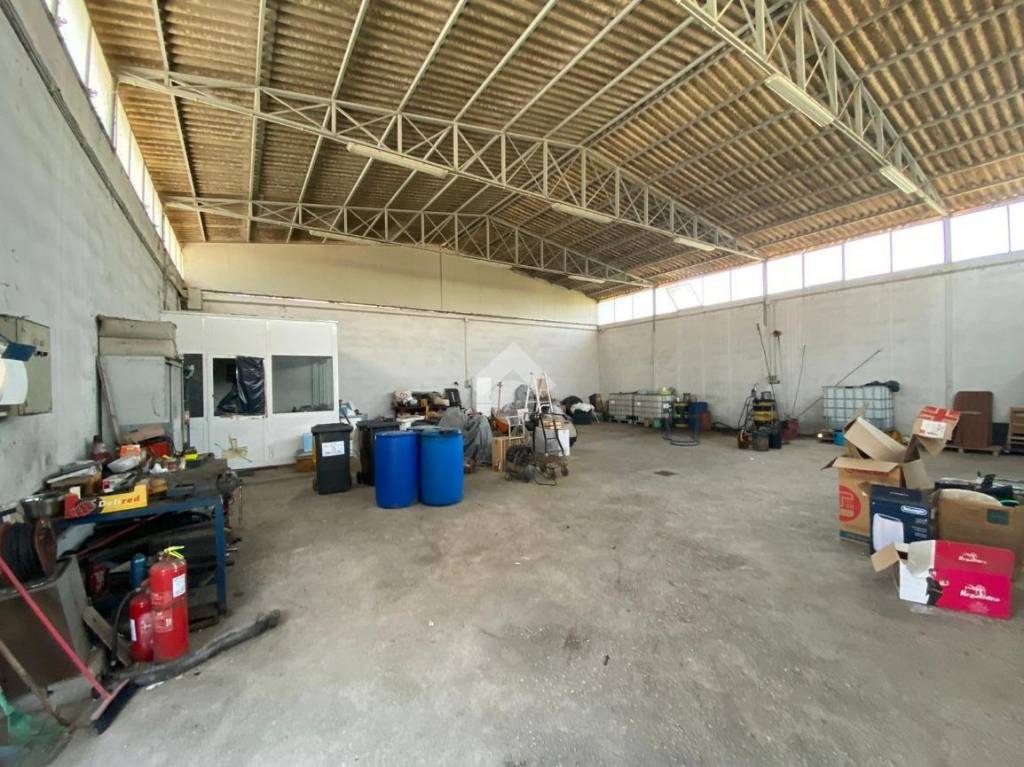 immagine annuncio 14 di 15