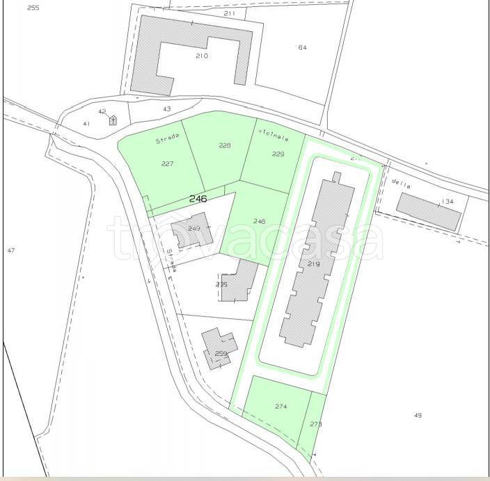 immagine annuncio 11 di 14