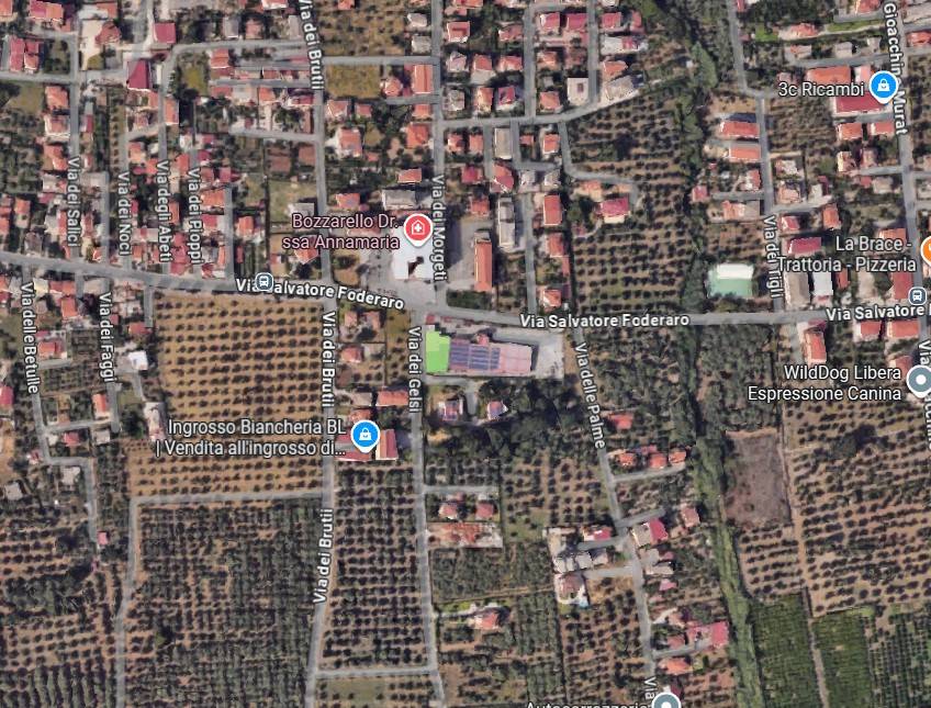 immagine annuncio 2 di 15