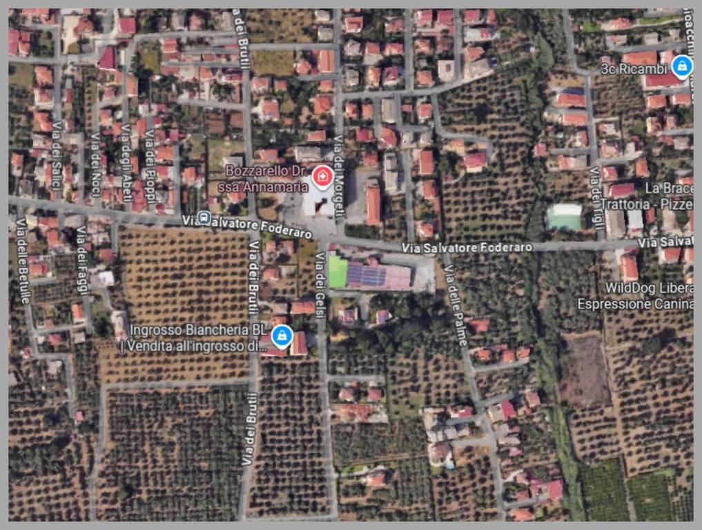 immagine annuncio 8 di 15