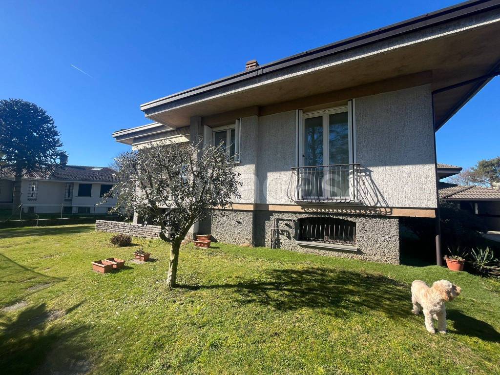 immagine annuncio 13 di 15