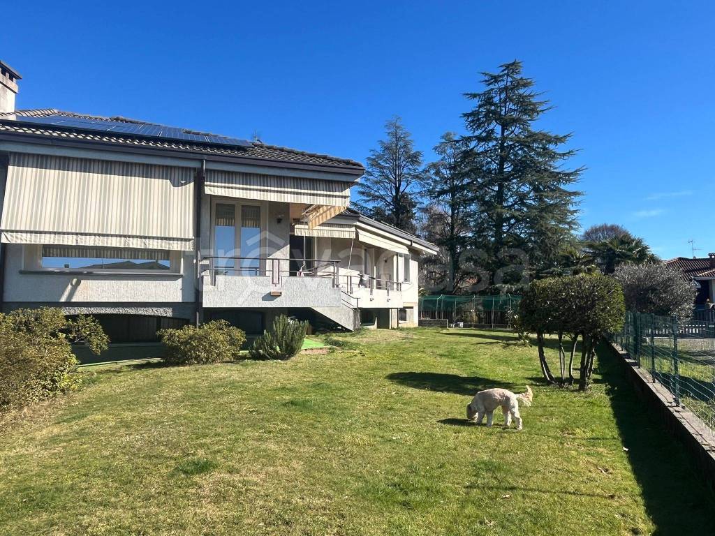 immagine annuncio 14 di 15