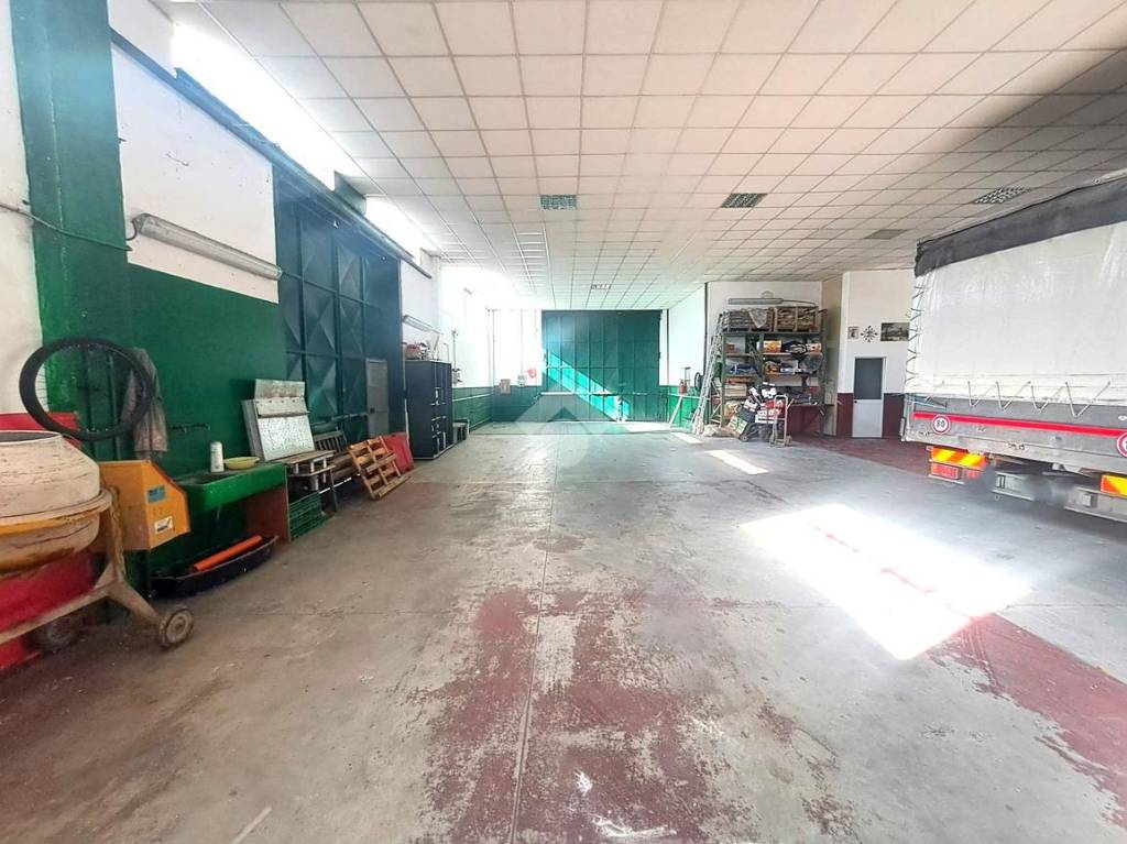 immagine annuncio 3 di 15