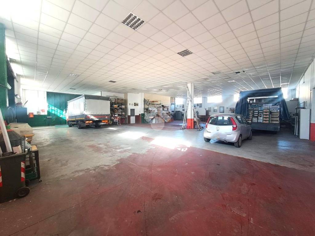 immagine annuncio 4 di 15