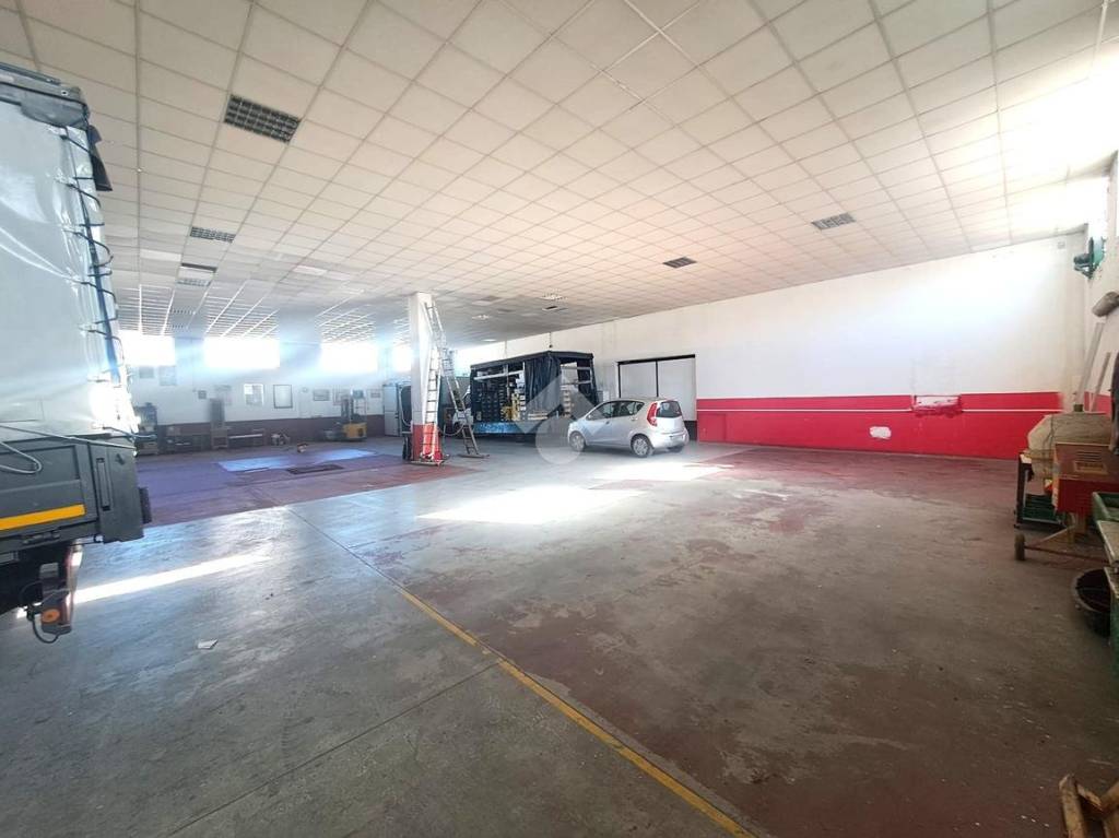 immagine annuncio 5 di 15