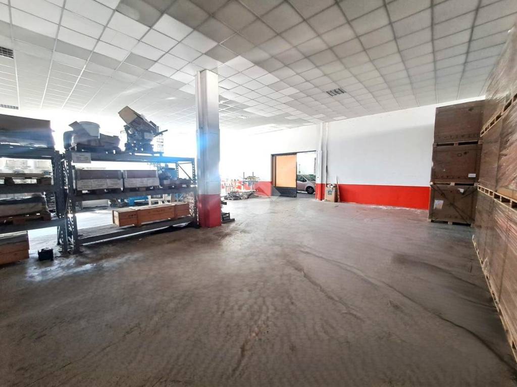 immagine annuncio 10 di 15