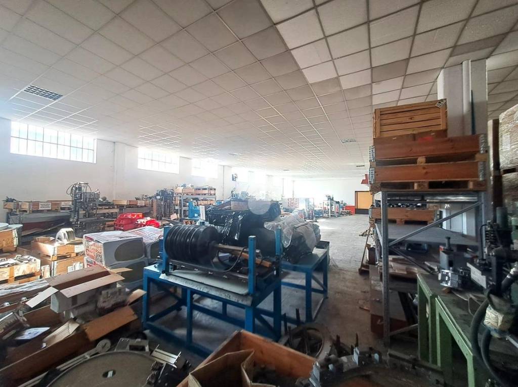 immagine annuncio 11 di 15