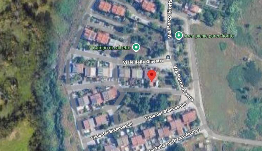 immagine annuncio 5 di 13