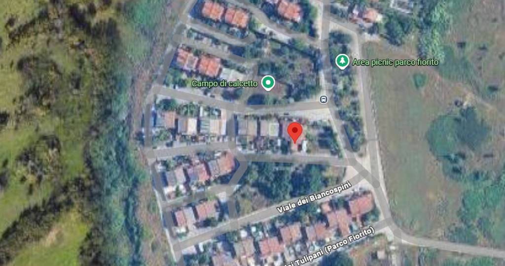 immagine annuncio 6 di 13