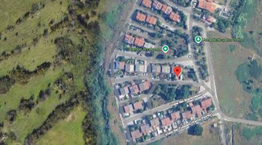 immagine annuncio 9 di 13