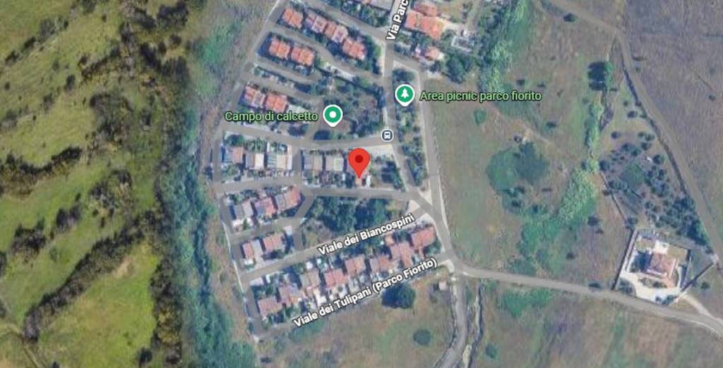 immagine annuncio 12 di 13