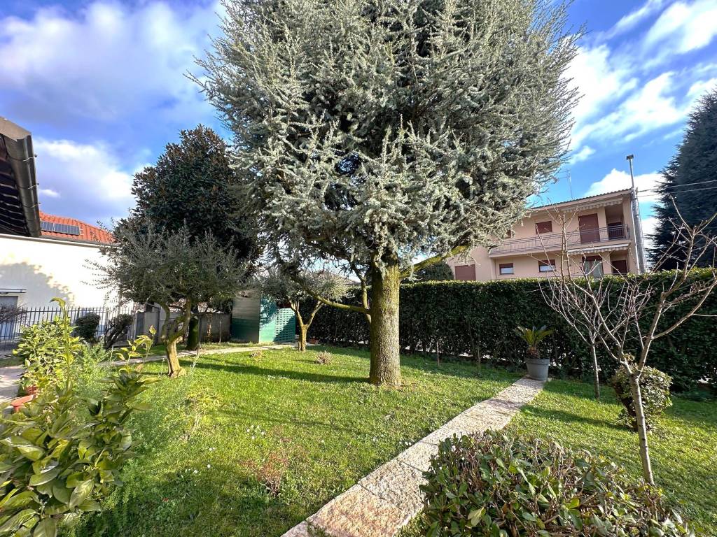 immagine annuncio 3 di 13